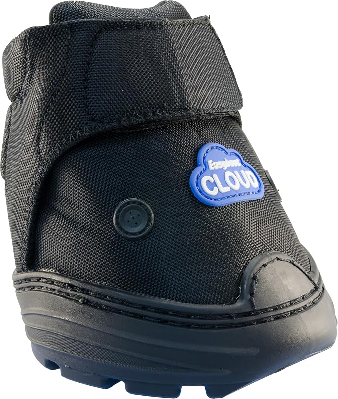 Easyboot Cloud (1)
