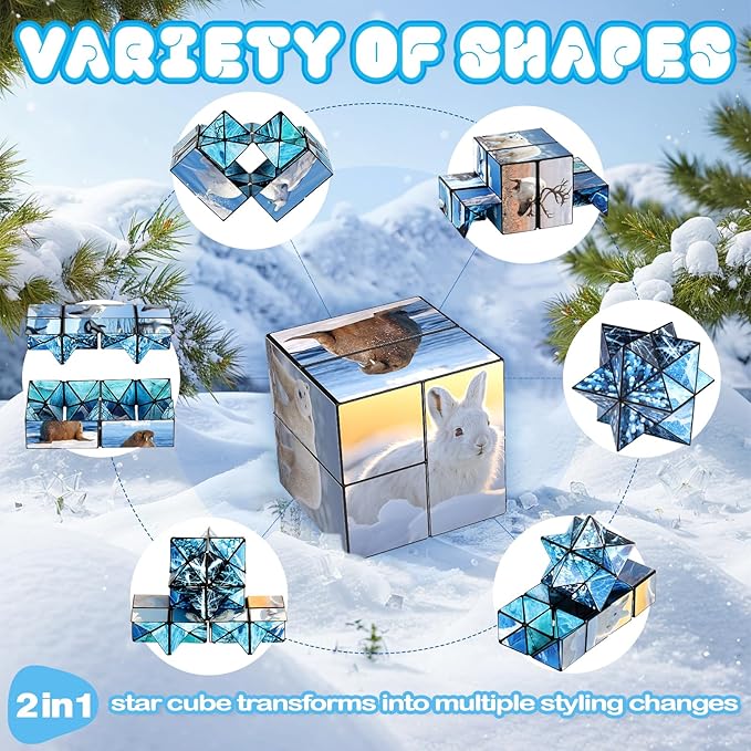 Euclidean Cube 2 in 1 Magic Cube Set, Fidget Toy for Kids Adults, Yoshimoto Cube for Ages 8-12, Arctic/Antarctic Animals Puzzle Cube Fun Toy for Boys Girls (Polar Series)