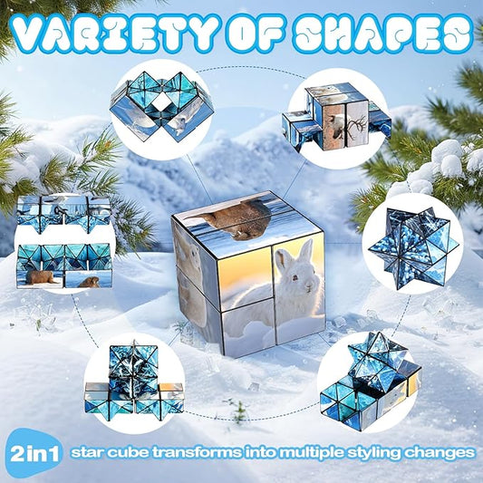 Euclidean Cube 2 in 1 Magic Cube Set, Fidget Toy for Kids Adults, Yoshimoto Cube for Ages 8-12, Arctic/Antarctic Animals Puzzle Cube Fun Toy for Boys Girls (Polar Series)