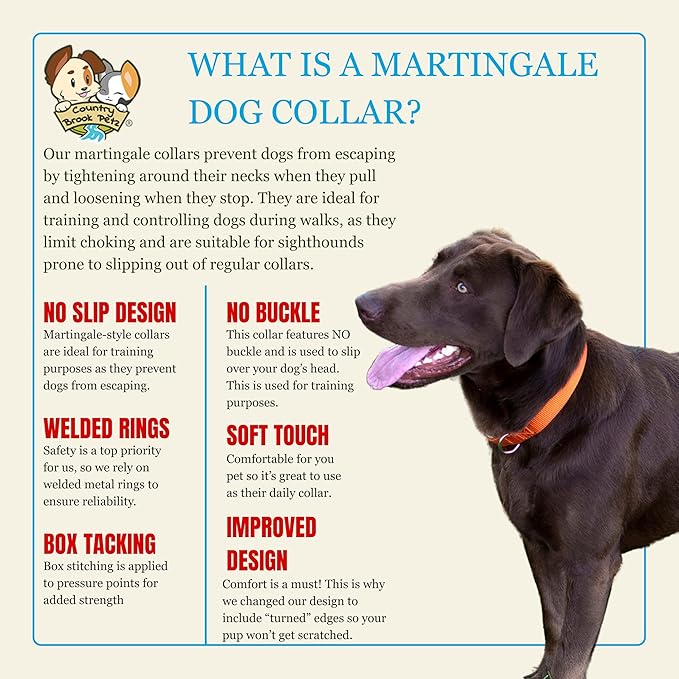 Country Brook Petz - Martingale Dog Collar - Heavy-Duty Training Collar with No Buckle - Service Dog Collar for All Pups - 20 Vibrant Colors (Orange, 5/8 Inch, Extra Small)