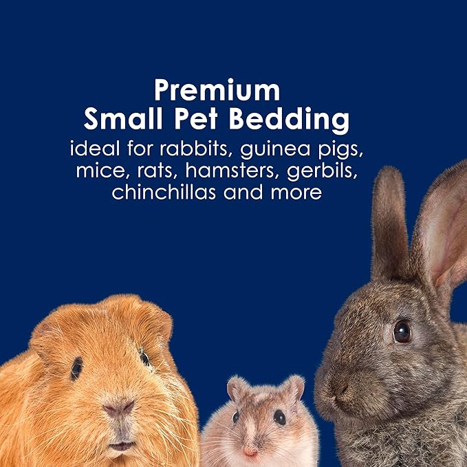 Kaytee Clean & Cozy Extreme Odor Control Bedding, Made for Small Animals, 40 Liters (Pack of 4)