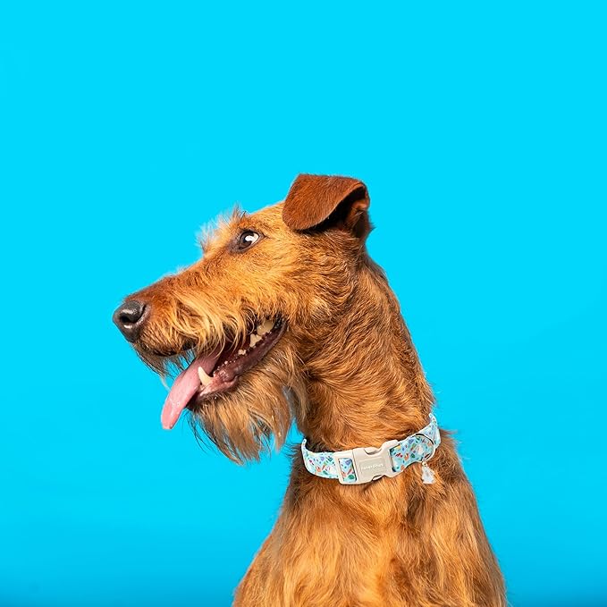 Lionet Paws Easter Dog Collar- Cute White Easter Bunny Blue Dog Collars with Plastic Buckle, Medium Large Dogs Collars with Osterhase Pendant