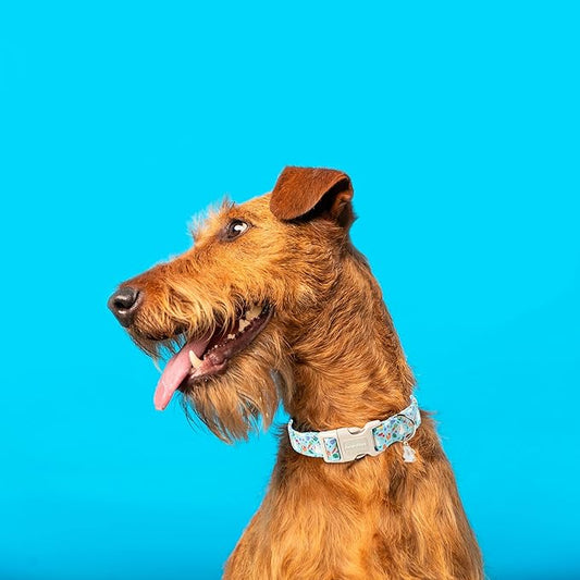 Lionet Paws Easter Dog Collar- Cute White Easter Bunny Blue Dog Collars with Plastic Buckle, Medium Large Dogs Collars with Osterhase Pendant