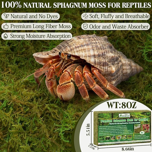 ZeeDix 8OZ Sphagnum Moss for Reptiles/Plants, Natural Reptile Moss Bedding for Tortoise Gecko Lizard Snake Hermit Crab Terrarium Habitat, Odor Control & Humidity Retention