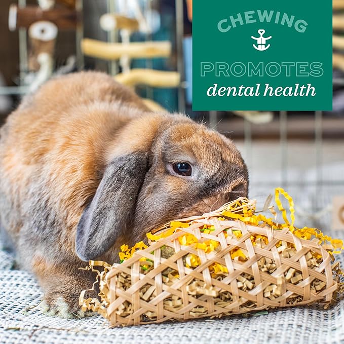 Oxbow Enriched Life Apple Stick Bouquet, Rabbit & Guinea Pig Toys, Small Animal Enrichment Chew for Bunny, Hamster, Chinchilla, Natural Play Chew Toy for Habitat Variety and Cage Accessories