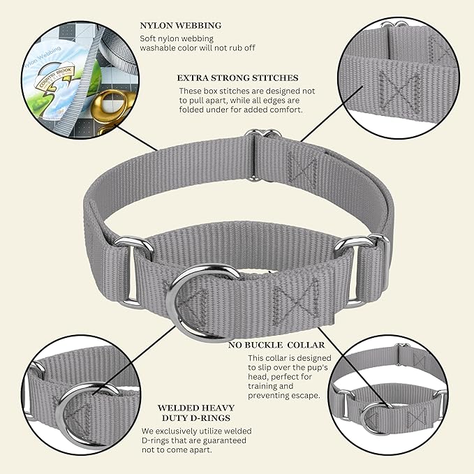 Country Brook Petz - Martingale Dog Collar - Heavy-Duty Training Collar with No Buckle - Service Dog Collar for All Pups - 20 Vibrant Colors (Silver, 5/8 Inch, Extra Small)