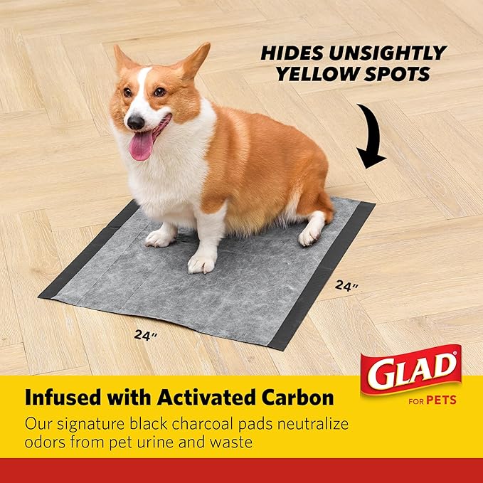 Glad for Pets XL Charcoal Training Pads, Activated Carbon Odor Control with Heavy Duty Leak-Resistant Layers, Quick-Dry Quilted Top Surface, Indoor Potty and Crate Liner, 24 x 24 in, 30 Count - 8 Pack