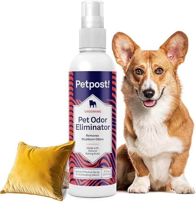 Petpost | Pet Odor Eliminator Spray for Dogs & Cats - Naturally Effective Deodorant and Bad Smell Killer - For Spraying Your Pet or Around the Home 8 oz.