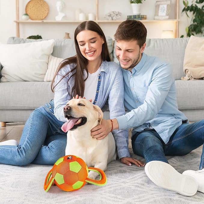 ALL FOR PAWS Dog Ball with Handles, Dog Toy with Squeaker, Interactive Tug of War Ball Toy for Medium and Large Dogs, Outdoor Ball Toys for Fetch & Tug Play, 15.7 x 7.9 x 7.9 Inch