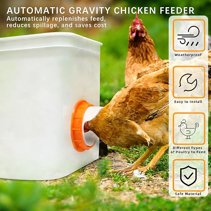 Chicken Feeder Port, 12 Pack Chicken Feeders No Waste with 12 Lids 1 Drill Bit, DIY Automatic Poultry Feeder Cups Kit, Chicken Bucket Feeder for Barrels ((Orange)