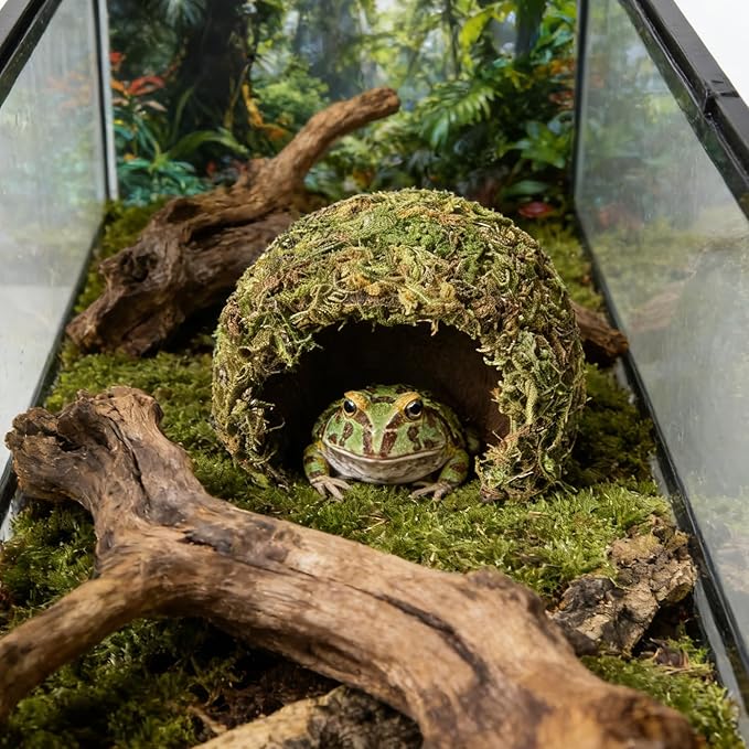 Snake Hide & Reptile Cave - Bearded Dragon Accessories & Leopard Gecko Tank Accessories - Coconut Moss Terrarium Decor & Reptile Supplies for Amphibian Habitats