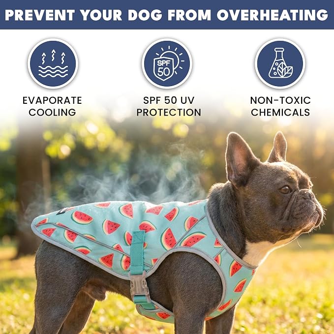 Spark Paws Dog Cooling Vest - SPF 50 UV Sun Protection - Summer Heat Relief Gear for Dogs, Lightweight, Evaporative Cooling - Dog Anxiety Relief Vest During Hot Days - Watermelon - Size 3XL