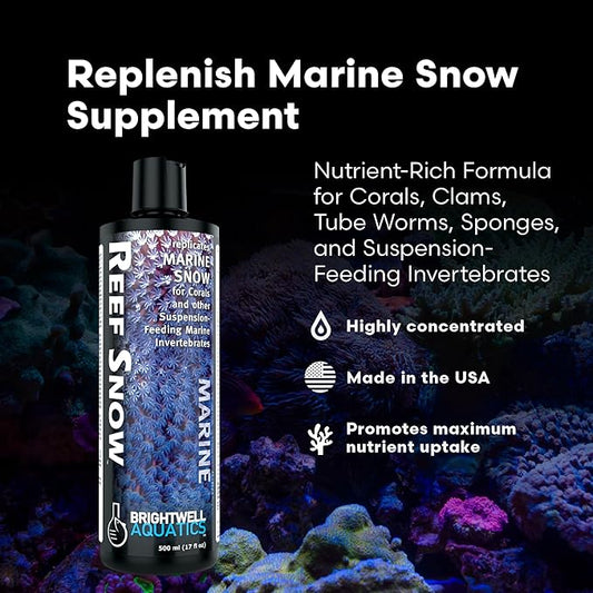 Brightwell Aquatics Reef Snow – Nutrient-Rich Supplement for Corals, Clams, Tube Worms, Sponges & Suspension Feeders – Supports Soft Tissue & Skeletal Growth in Reef Aquariums – 125 ml