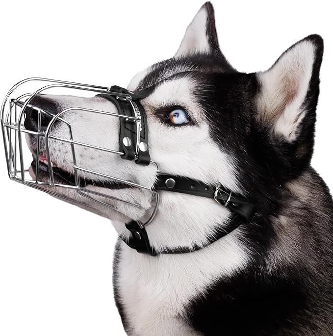BRONZEDOG Dog Muzzle Adjustable Durable Metal Wire Basket for Large and Extra Large Dogs with Leather Straps Breathable, Drinkable, Training, Prevents Biting (Stainless Steel, Husky & Doberman)