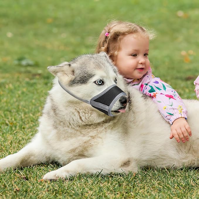 HEELE Dog Muzzle,Soft Nylon Muzzle Anti Biting Barking Chewing,Air Mesh Breathable Drinkable Adjustable Loop Pets Muzzle for Small Medium Large Dogs 4 Colors 4 Sizes (Gray, M)