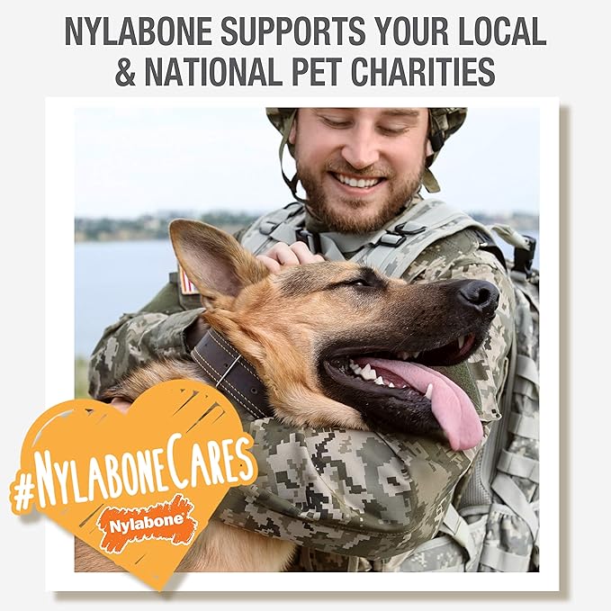 Nylabone Dental Dinosaur Power Chew Toy for Dogs, Dog Toys for Aggressive Chewers, Chicken Flavor, Small - Up to 25 lbs, 1 Count