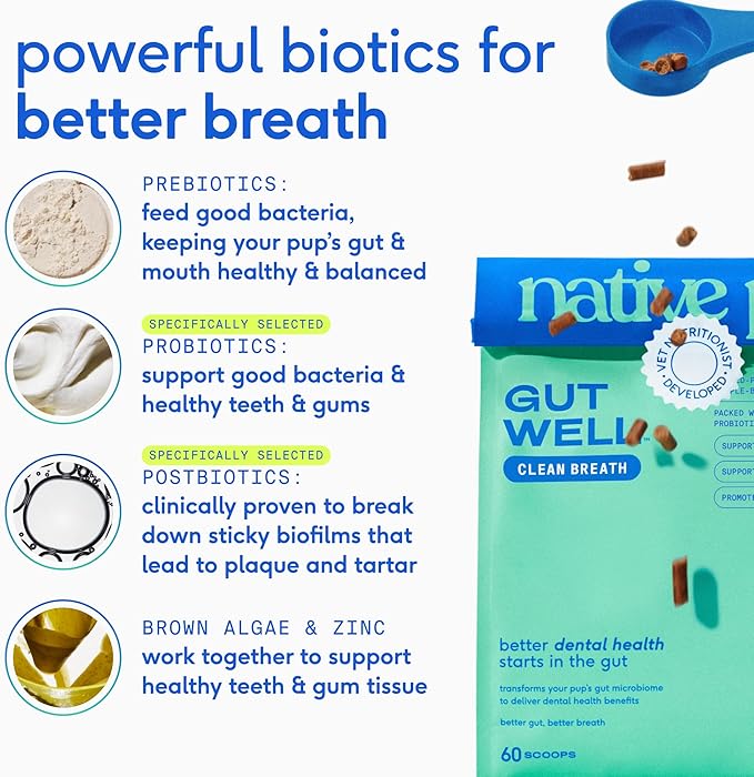 Native Pet GutWell Clean Breath - Dog Breath Freshener & Dog Teeth Cleaning Powder Cold-Pressed to Reduce Plaque, Tartar & Promote Oral Health with Triple-Biotic Blend, Brown Algae & Zinc -120 Scoops