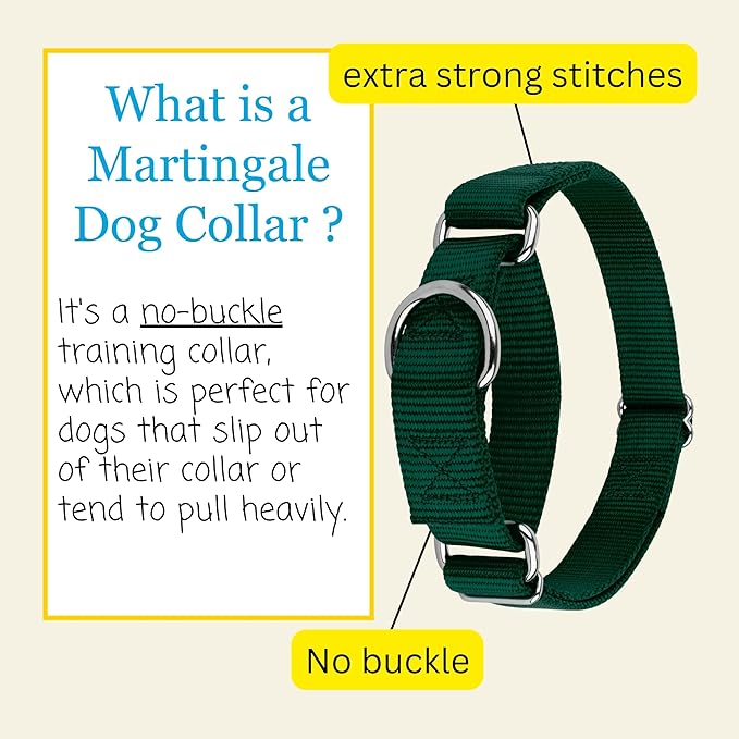 Country Brook Petz - Martingale Dog Collar - Heavy-Duty Training Collar with No Buckle - Service Dog Collar for All Pups - 20 Vibrant Colors (Green, 1 Inch, Extra Large)