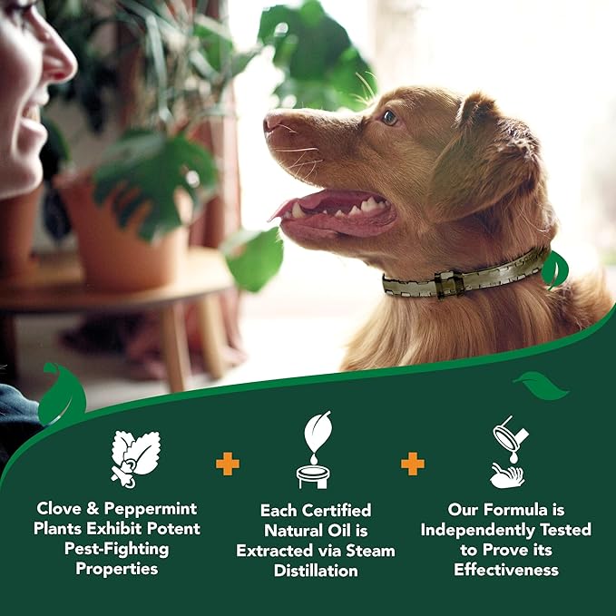 Vet's Best Natural Flea and Tick Collar for Dogs – Natural Repellent Collar with Plant-Based Ingredients – Flea and Tick Prevention and Treatment – Fits Small to Large Dogs – Up to 20” Neck Size