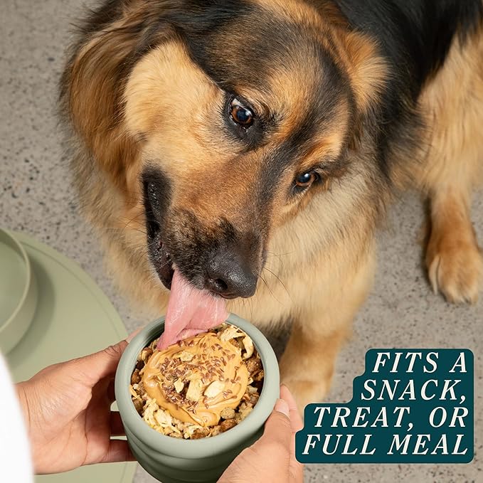 Should We Go? The Ripple Cup Silicone Dog Enrichment Toy & Slow Feeder, Treat Dispensing Cup - Food-Safe Meal Feeder, Frozen Treat Dog Toy with Freezer Plug, 10 oz Capacity, for Medium Dogs