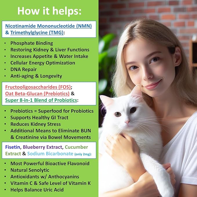 𝗘𝘃𝗲𝗻𝘁𝘂𝗮𝗹𝗹𝘆 𝗬𝗼𝘂𝗻𝗴 Cat Kidney Support for Dog & Cat with NMN & Fisetin - Super Phosphate Binder Kidney and Liver Supplement for Feline, Canine Healthy Aging & Longevity NAD+ (60 Caps)