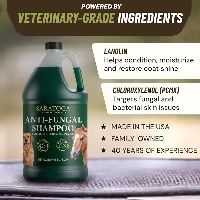 Saratoga Veterinary Product Antifungal Shampoo for Horses - Antibacterial Horse Shampoo and Conditioner - Effective Antifungal Horse Shampoo - Professional Quality Equine Care (1 Gallon)