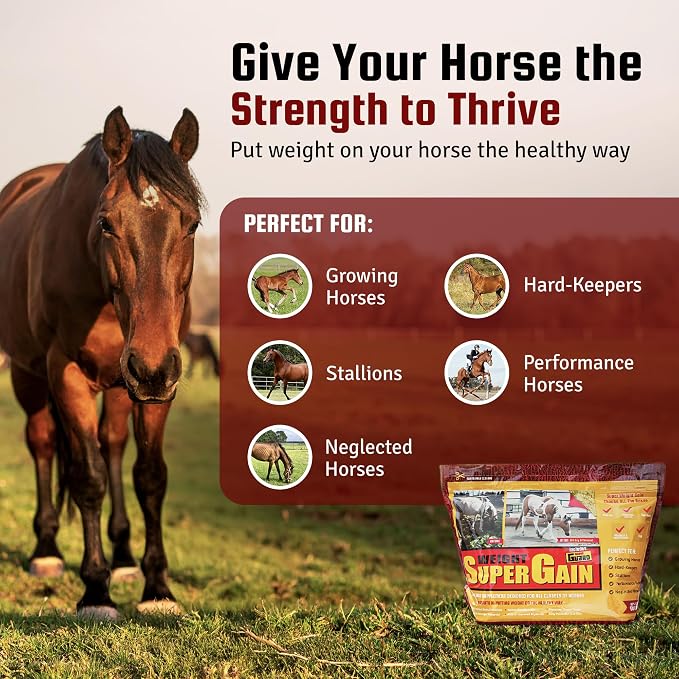 Horse Guard Super Weight Gain 24 lb – 3-in-1 Horse Weight Gain Supplement with Full-Fat Soy, Probiotics & Vitamins – Supports Digestion, Coat & Muscle Health – 48 Servings