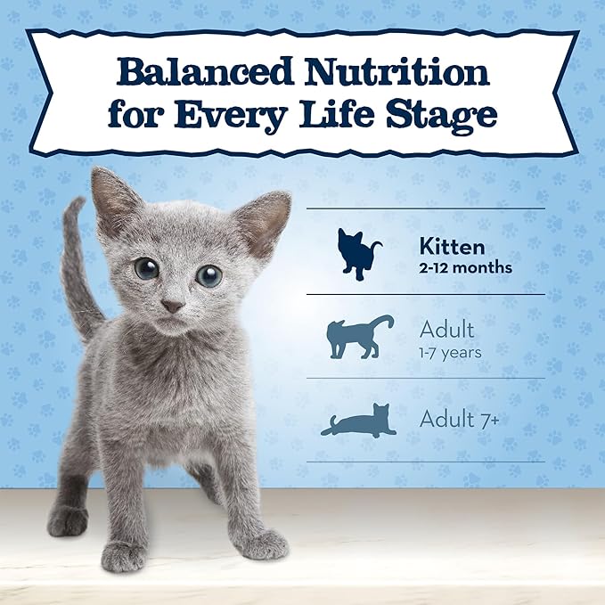 Blue Buffalo Baby Blue Natural Kitten Wet Cat Food Paté Variety Pack, Healthy Growth Formula with DHA, High-Protein & Grain-Free, Chicken and Salmon Recipes, 3-oz Cans (6 Count, 3 of Each)