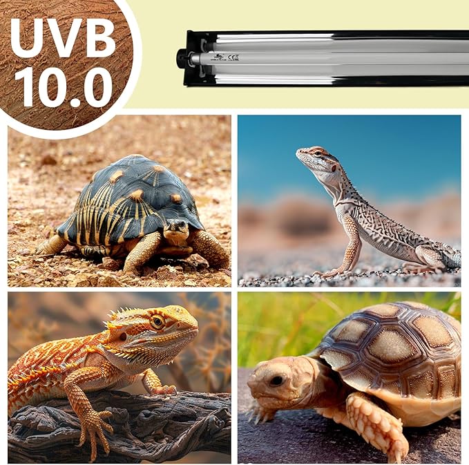 T5 UVB Lighting Combo Kit for Reptiles,24W Light Fixture with Desert 10.0 T5 UVB Light Bulbs Terrarium Hood Heat Lamp for Breaded Dragon,Turtle,Frog,Lizard,Tortoise,Gecko,Snake