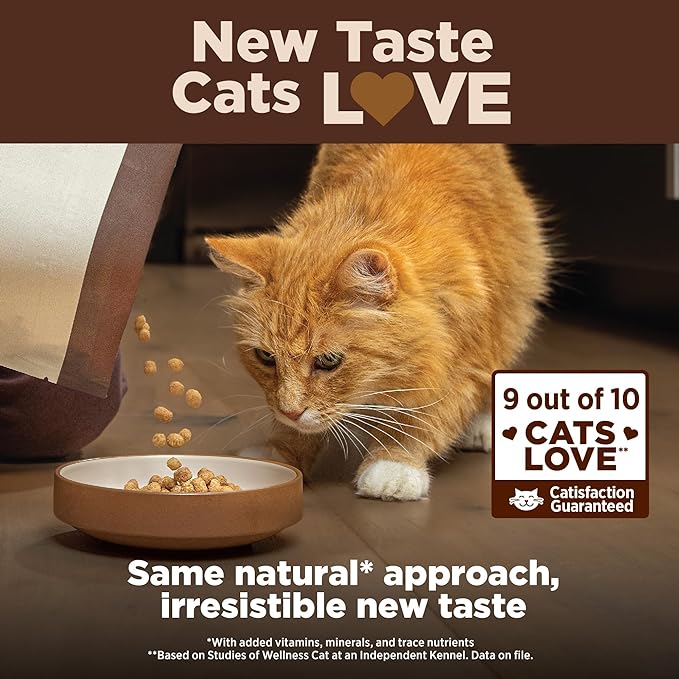 Wellness CORE+ Digestive Health Adult Dry Cat Food, Natural, Wholesome Grains Kibble, Salmon and Rice Recipe, 5 lb Bag