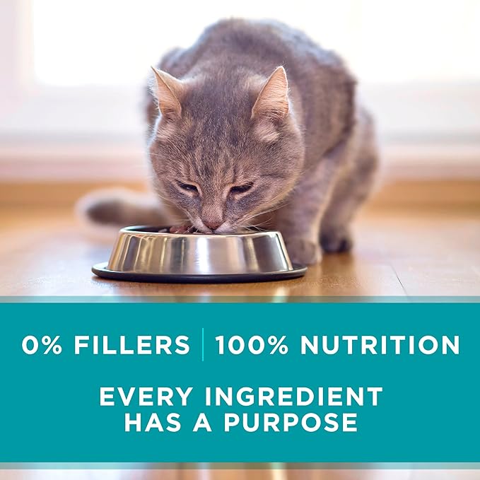 Purina ONE Natural, Grain Free Wet Cat Food Pate, Chicken Recipe - (Pack of 48) 3 oz. Pull-Top Cans