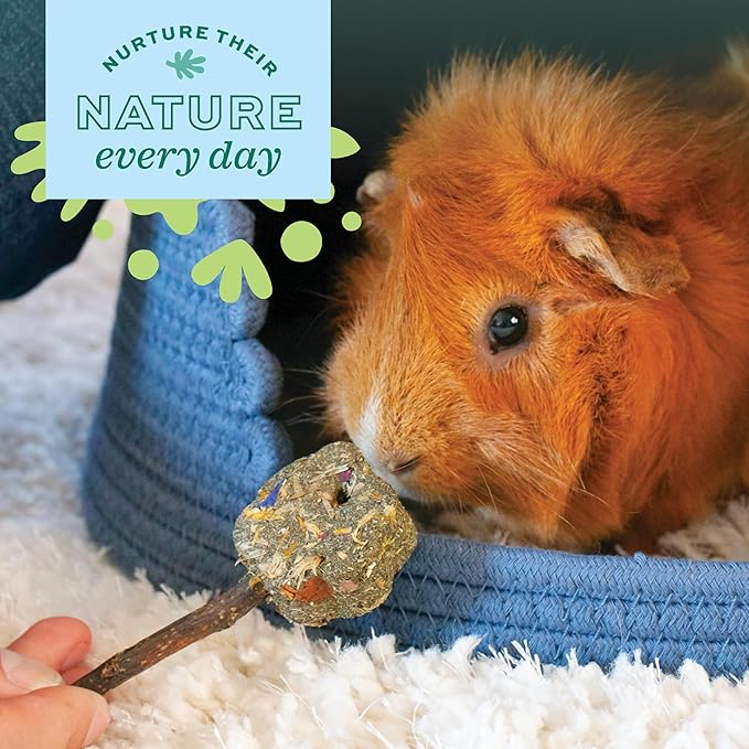 Oxbow Enriched Life Roll Arounds, Rabbit Toys, Guinea Pig Toys, Enrichment for Bunny, Guinea Pig, Hamster, Rabbit, Chinchilla, Rat, Hamster Cage Accessories, Chinchilla Cage Accessories