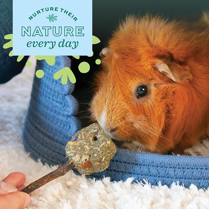 Oxbow Enriched Life Willow Play Cube, All Natural Enrichment for Rabbits, Guinea Pigs, Rats, and Hamsters, Supports Healthy Teeth and Play Instincts, Safe Chew Accessory for Cages and Play Areas