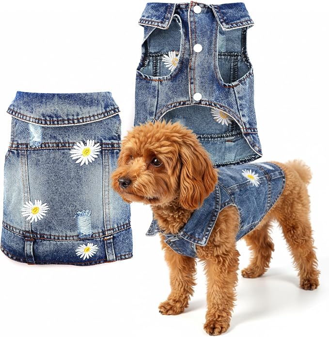 Dog Denim Jacket with Embroidered Daisy, Ripped Vintage Jean Vest for Small Dogs, Pugs, Chihuahuas, Spring Summer Fall Festival Outfit, XXL (Fits Chest 19-20.5", NOT for Large Dogs)