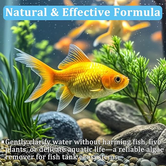Aquarium Water Purification Tablets for Fish Tanks – Premium Water Purification Tablets to Remove All Kinds of Turbidity, Clarify Water, Promote Healthy Fish Environment (2)