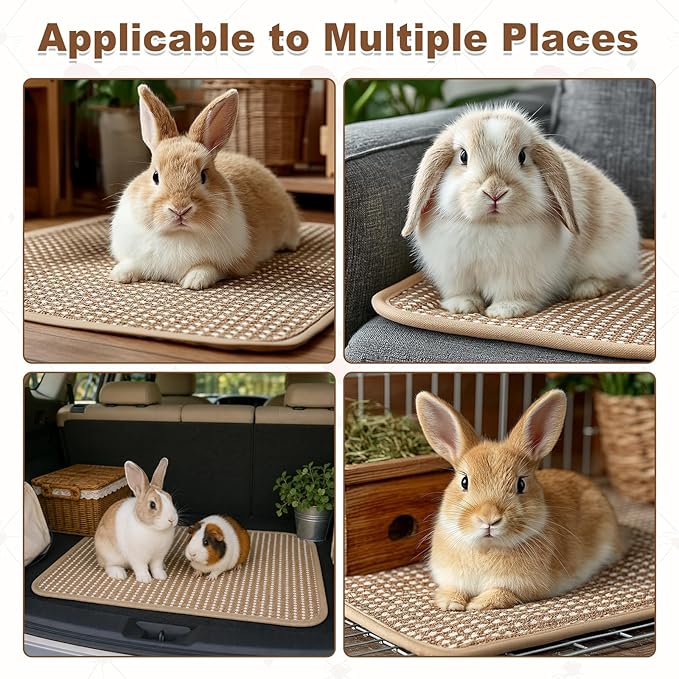 3PCS Rabbit Scratch Mat, Natural Bunny Scratching Pad Claws and Teeth Care Rabbit Mats for Cages Chew Toys for Bunny Pet Cage Bedding for Biting Sleeping Nesting (12x16 inch)