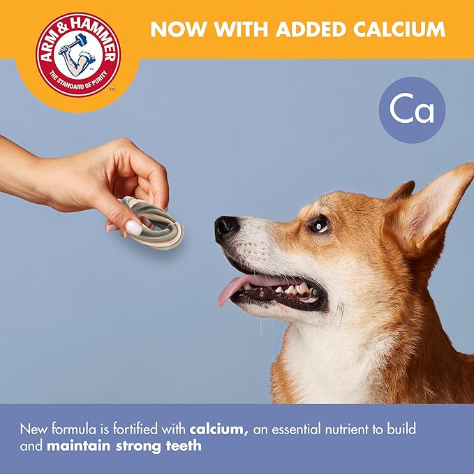Arm & Hammer Smoothies Dental Chews for Dogs with Baking Soda & Calcium, Fight Bad Breath, Plaque & Tartar without Brushing, Mint Flavor, Ring Shaped, 32 Count, 2.4 lb Bucket