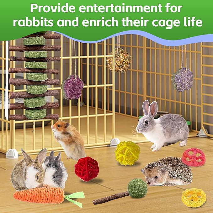 WDEFUN 21PCS Rabbit Chew Toys for Teeth Grinding, Natural Timothy Hay Cakes Treats for Bunny, Organic Apple Wood Sticks Toy Set for Guinea Pigs, Hamsters, Chinchillas,Dental Health & Boredom Relief
