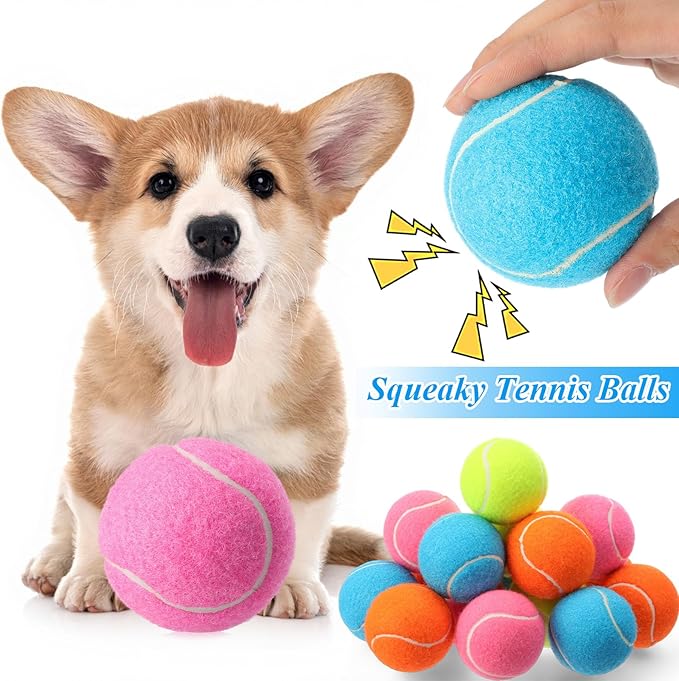 Skylety 40 Pcs 2.5 Inch Squeaky Tennis Balls Bulk for Dogs Bouncy Floatable Tennis Balls Dog Playing Supplies Training Interactive Fetch Toys Indoor and Outdoor for Small Medium Puppy (Multicolor)