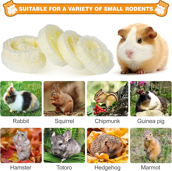 Toddmomy Rabbit Chew Toys 20pcs Loofah Teeth Grinding Toys Small Animal Tooth Cleaning Tools for Guinea Pig Chinchilla Hamster