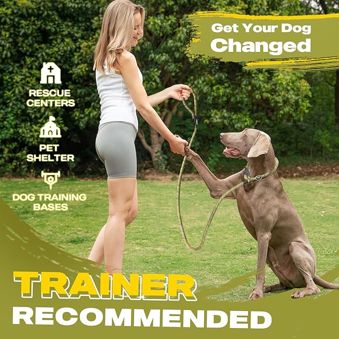Fida Durable Slip Lead Dog Leash, 6 FT x 3/8" Heavy Duty Comfortable Strong Rope Slip Lead for Small Dogs and Puppies, No Pull Pet Training Leash with Highly Reflective (3/8", Yellow)