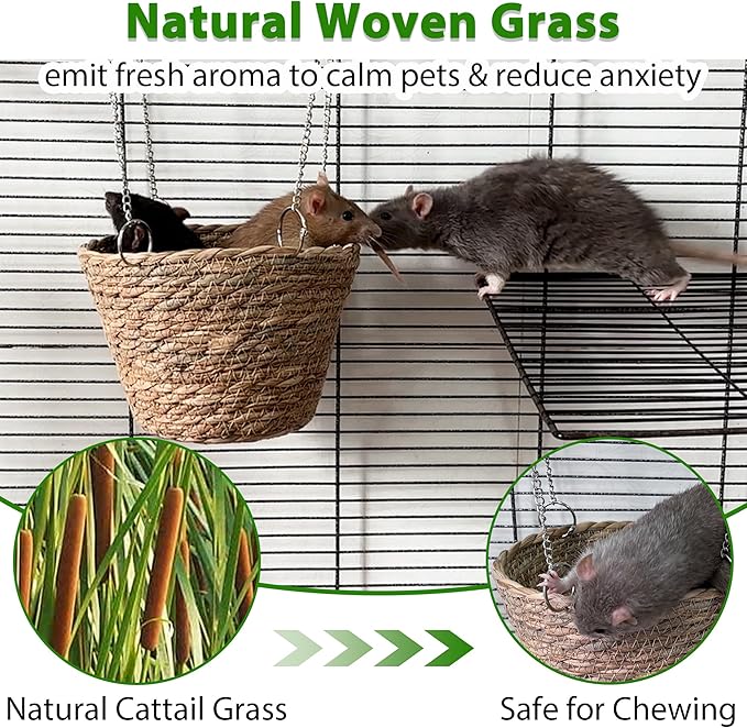 2Pcs Rat Enrichment Toys & Natural Grass Rat Hammock, Stainless Steel Foraging Holder and Chew Proof Bowl-Shaped Bed for 1-2 Rats Mice Parakeet