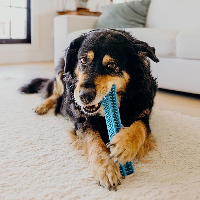 Playology Dog Toys | Dental Chew Stick for Senior Dogs | Peanut Butter Scented Medium Toy | Dog Chew Toy for Healthy Teeth and Gums