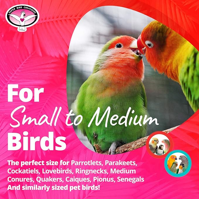 Super Bird Creations SB1087 Tug O' War Bird Toy for Parrotlets, Parakeets, Cockatiels, Lovebirds, Ringnecks, Medium Conures, Quaker, Caiques - Multi-colored toys - Small/Medium Bird Size, 6" x 3" x 1"