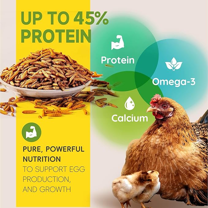 10LB Non-GMO Black Soldier Fly Larvae for Chickens 45% Protein High Calcium Chicken Feed Alternative to Mealworms, Dried BSF Larvae Chicken Treats for Laying Hens Ducks Birds Reptiles