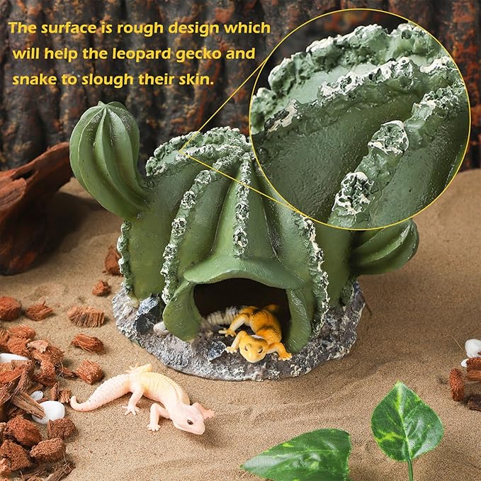 IBWell Resin Cactus Leopard Gecko Hide Reptile Cave，Desert Terrarium Décor，Bearded Dragon Hideout, Small Reptile Hide