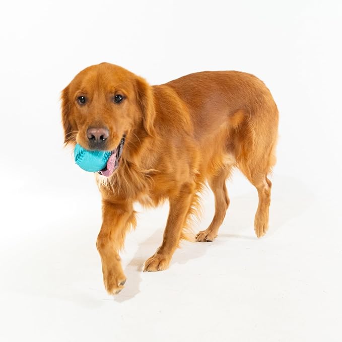Playology Dog Toys | Dental Chew Ball for Large Senior Dogs| Peanut Butter Scented Jumbo Toy | Dog Balls for Healthy Teeth and Gums