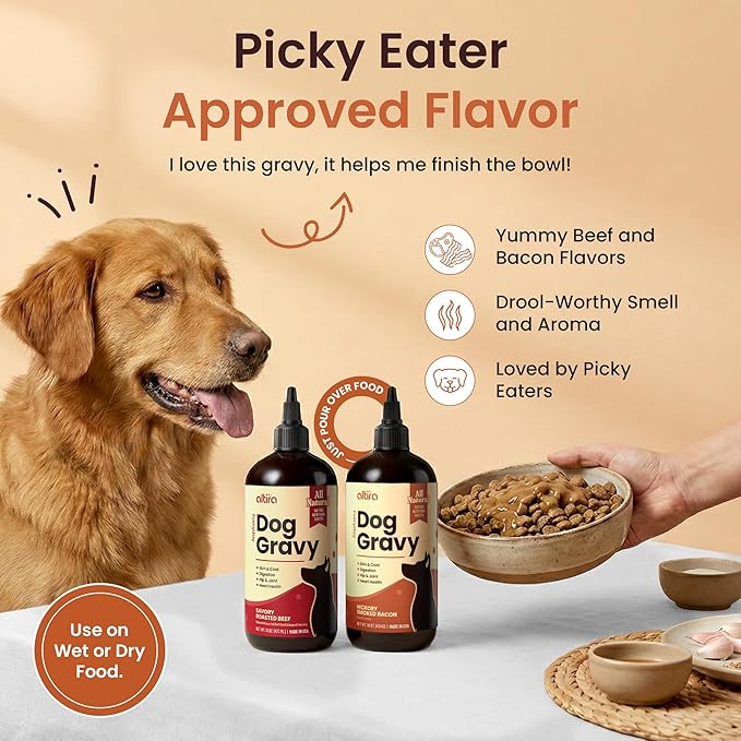Everyday Dog Gravy - Wet Dog Food Topper for Dry Food with Glucosamine, MSM, Beef Bone Broth, Omega 3, Probiotics and Taurine - Skin, Coat, Heart, Hip and Joint Support, 16 oz (Beef)