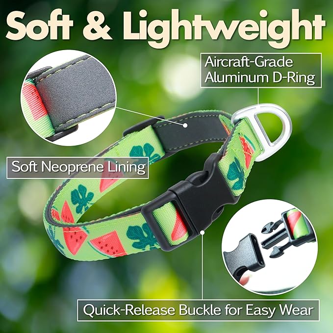 Cute Dog Collar, Summer Watermelon Pattern Adjustable Breathable Collar with Reflective Logo, Comfortable Padded Design Fits for Medium, Large Dogs, Neck Size 12’’-20’’ (Watermelon, M)