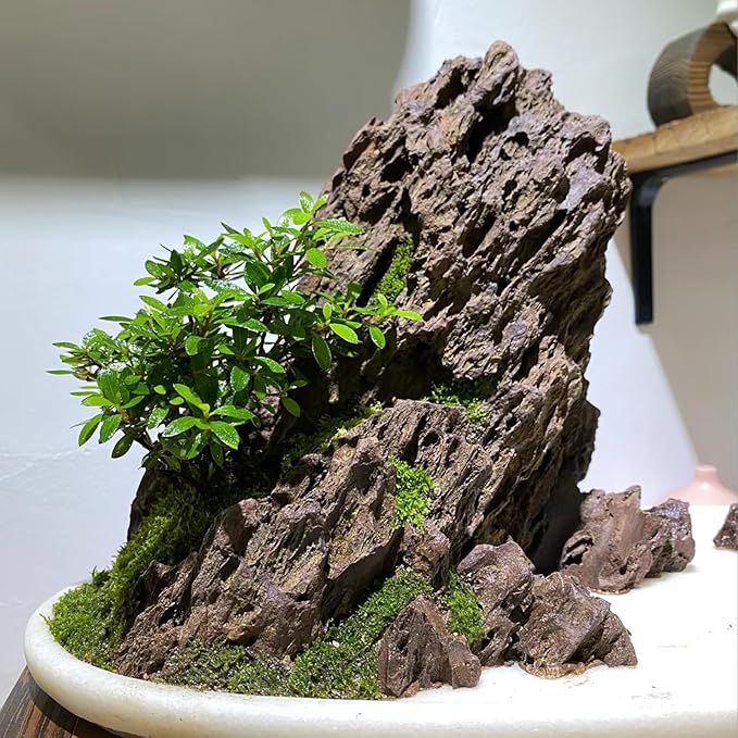 Natural Rock Stone 20lb Aquarium Rocks for Aquarium Landscaping Models and PH Neutral Rocks Aquascaping Stones for Terrariums-2-8 inches